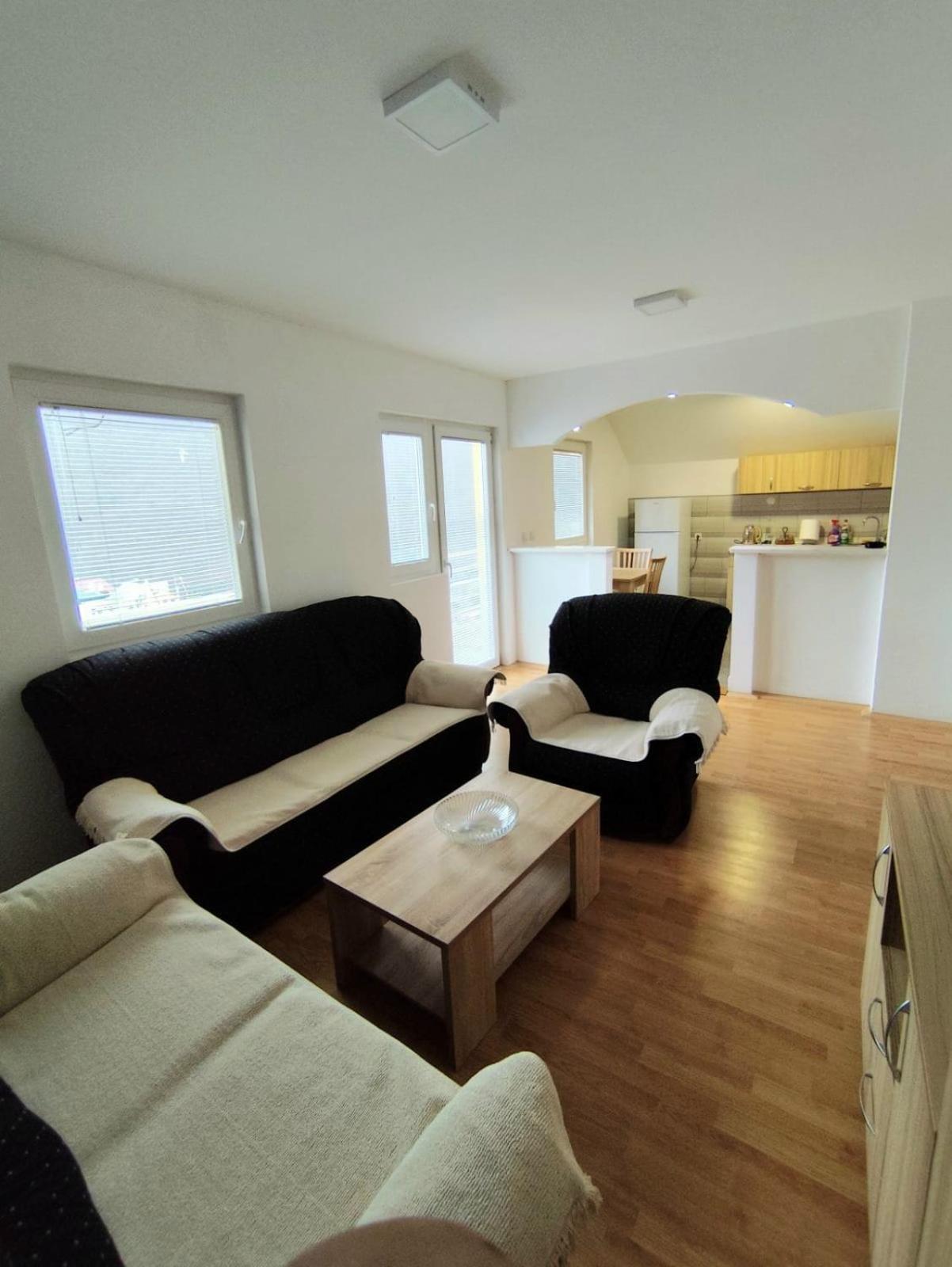 Apartman Ognjenovic Apartment Pluzine Exterior photo