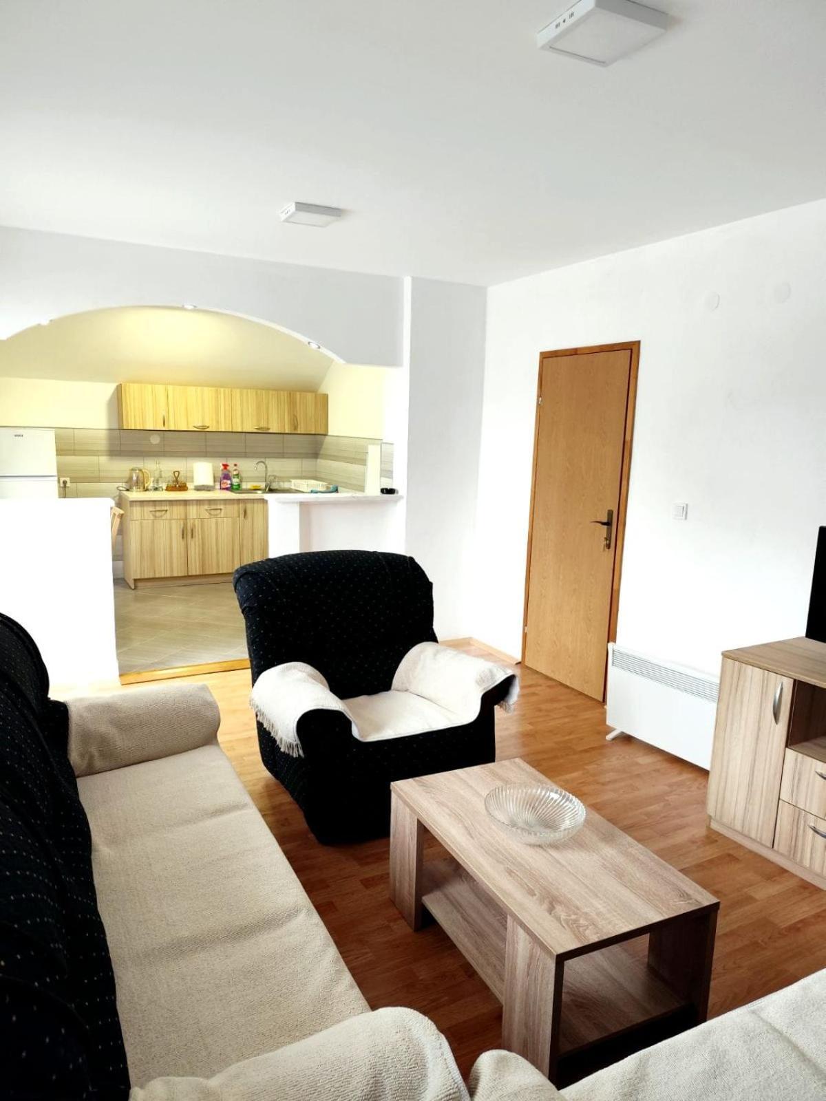 Apartman Ognjenovic Apartment Pluzine Exterior photo