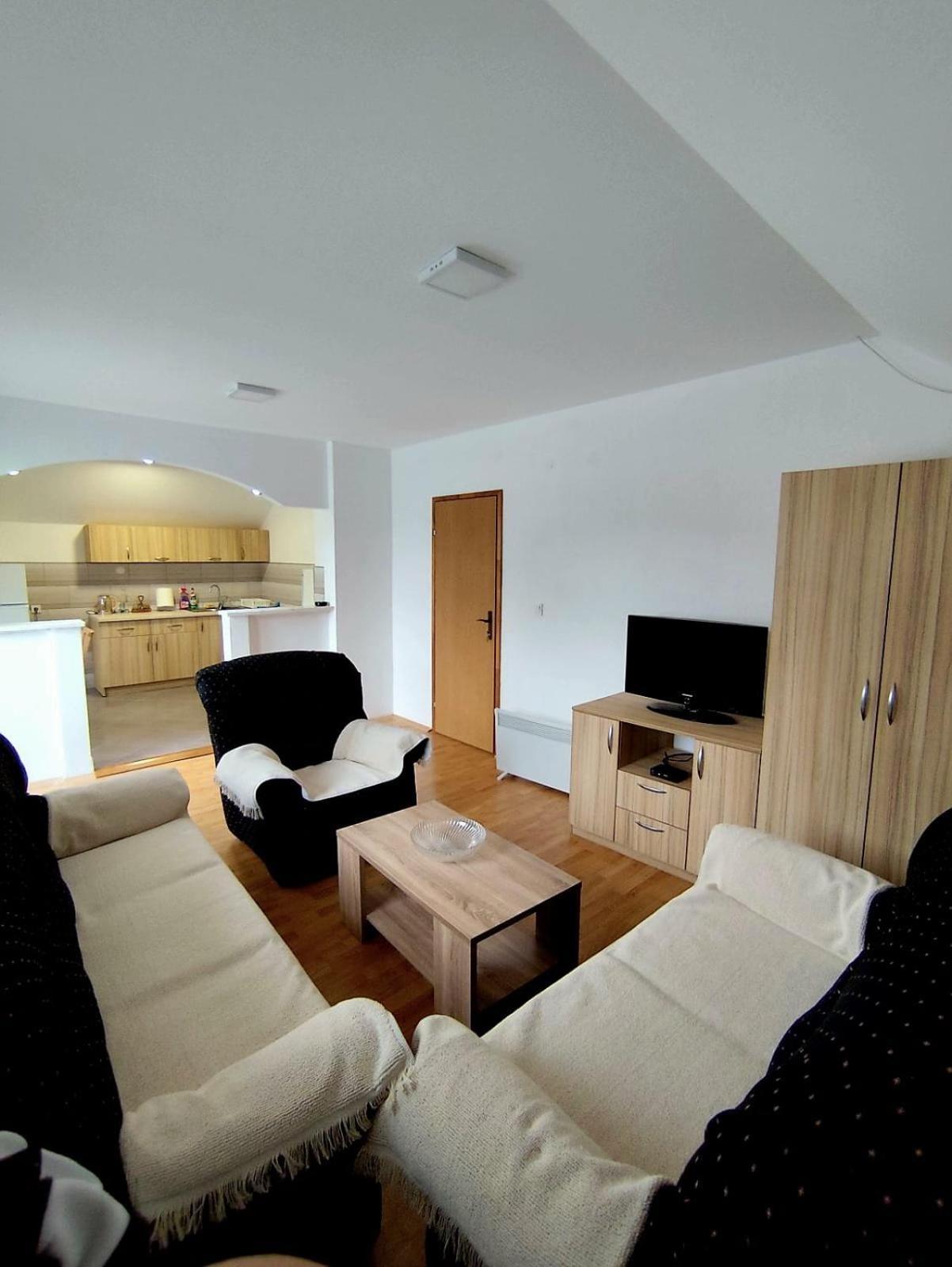Apartman Ognjenovic Apartment Pluzine Exterior photo
